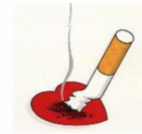 /album/psicopatologia/capturar999-png/